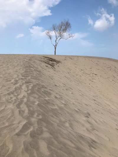 图聚科技